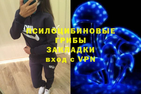 спайс Алексеевка